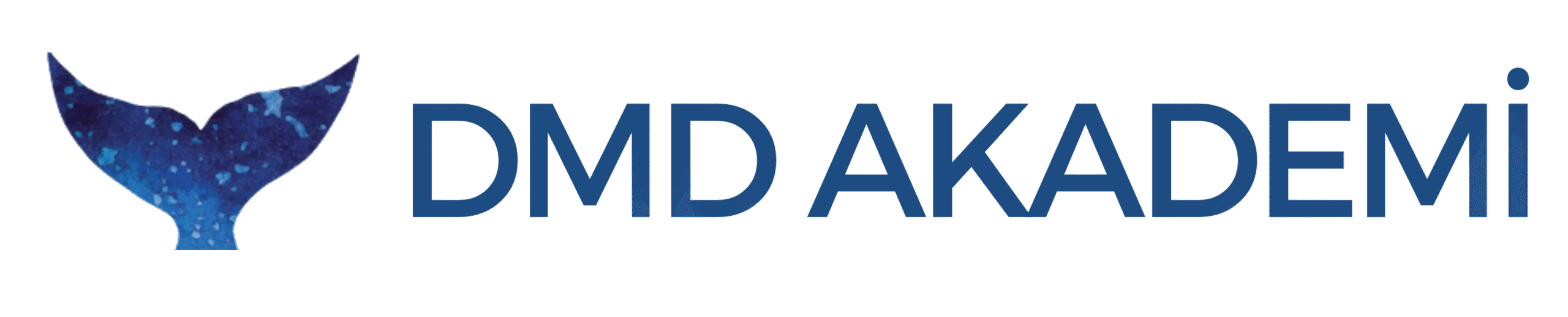 DMD Akademi